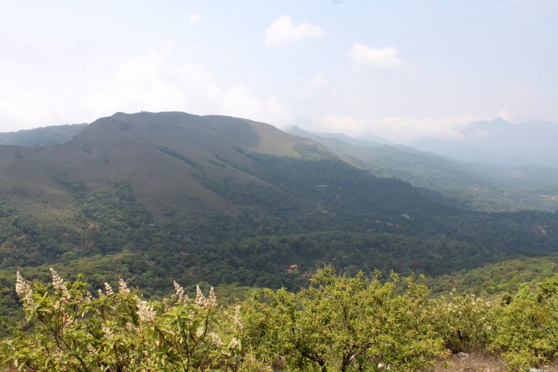 The whole of Honey Valley.